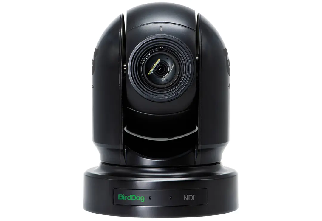 BirdDog Eyes P200 1080p Full NDI PTZ Camera (black)